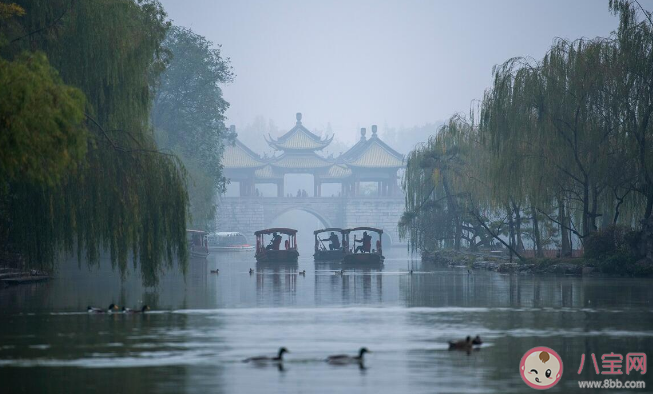 一夜入冬是种什么体验 寒潮为什么可以一夜速冻