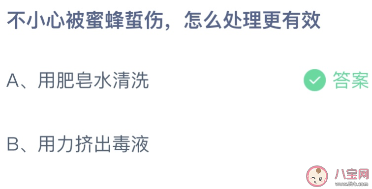 不小心被蜜蜂蜇伤怎么处理最有效 蚂蚁庄园10月19日答案最新