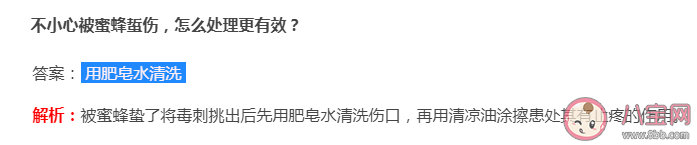 蚂蚁庄园被蜜蜂蛰伤怎么处理更有效 10月19日答案解析