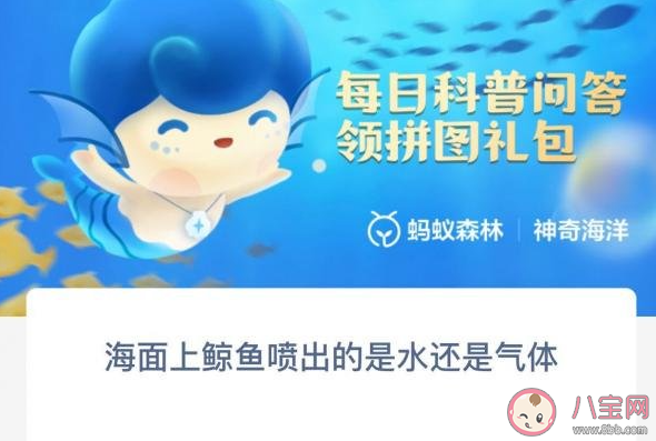 海面上鲸鱼喷出的是海水还是气体 蚂蚁森林神奇海洋10月20日答案