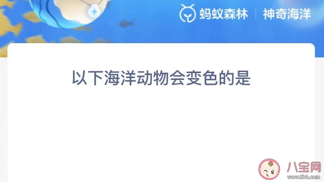 以下海洋动物会变色的是哪个 蚂蚁森林神奇海洋10月21日答案