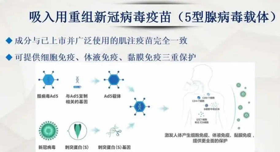 接种吸入用重组新冠病毒疫苗的条件是什么 吸入用重组新冠病毒疫苗的加强免疫有效性如何