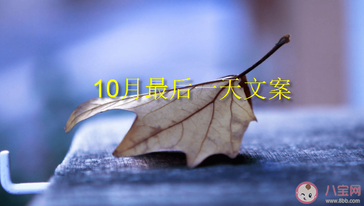 10月最后1天朋友圈文案句子 10月最后1天文案说说大全