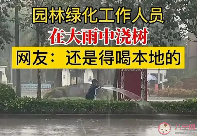 绿化工作人员雨天给大树浇水 下雨天为什么要浇绿化