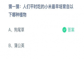 人们平时吃的小米最早培育自以下哪种植物 蚂蚁庄园11月16日答案