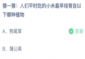 蚂蚁庄园平时吃的小米最早培育自以下哪种植物 小课堂11月16日答案最新