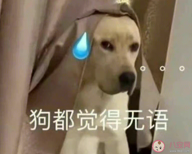 暧昧期过长是什么体验 你在爱情中会有很长的暧昧期吗