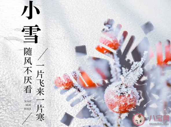 今日小雪的朋友圈文案精选说说 今日小雪发朋友圈的句子大全