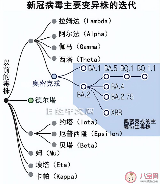 专家奥密克戎致病力呈几何级数下降 奥密克戎毒株为什么传染性强