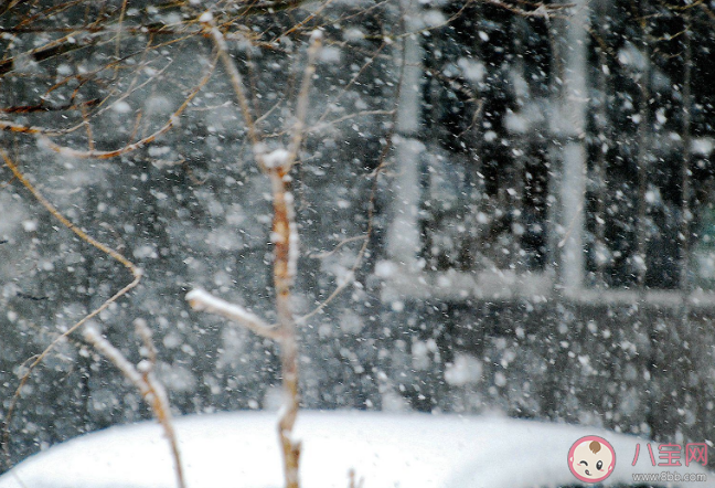 冬天下的鹅毛大雪其实是什么 蚂蚁庄园12月7日答案