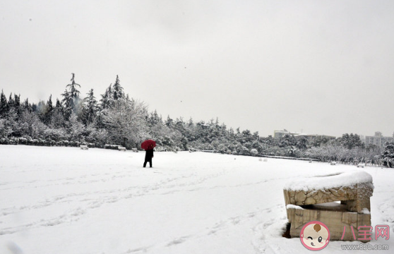 蚂蚁庄园冬天的鹅毛大雪其实是 小课堂12月7日答案