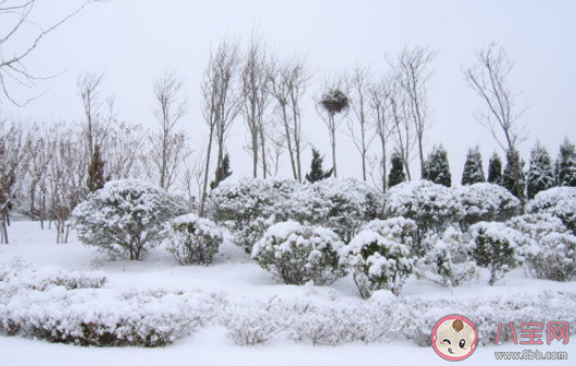 蚂蚁庄园冬天的鹅毛大雪其实是 小课堂12月7日答案