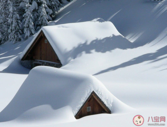 以下哪种雪会融化得更快 蚂蚁庄园12月6日答案解析