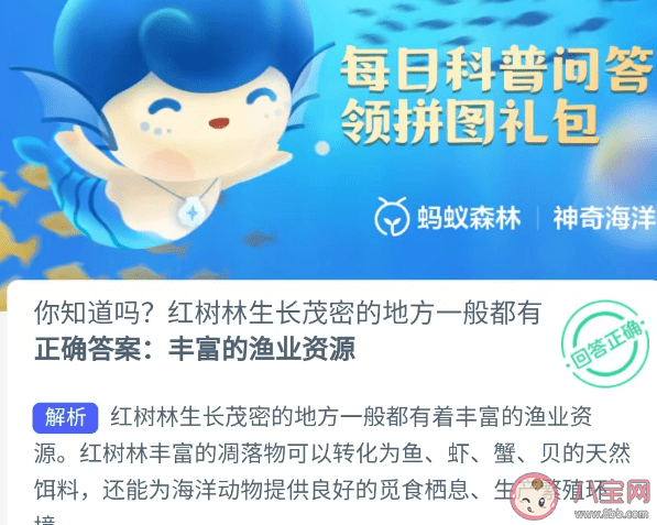 红树林生长在茂密的地方一般都有什么 神奇海洋12月3日答案