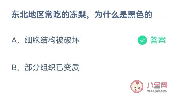 东北地区常吃的冻梨为什么是黑色的 蚂蚁庄园12月8日答案