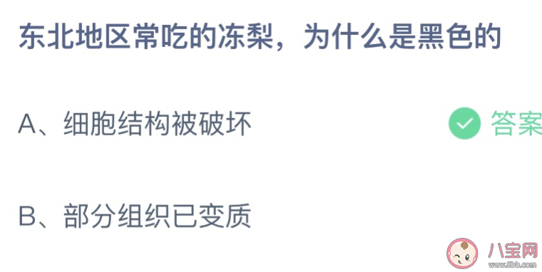 东北地区常吃的冻梨为什么是黑色的蚂蚁庄园 12月8日答案介绍