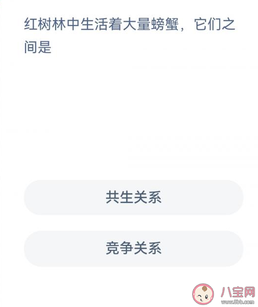 蚂蚁森林红树林中活着大量螃蟹它们之间是什么关系 神奇海洋12月7日答案