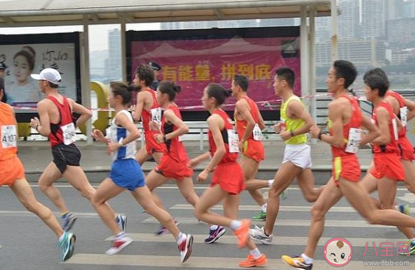 马拉松丈量员主要用什么交通工具丈量赛道 蚂蚁新村12月19日答案