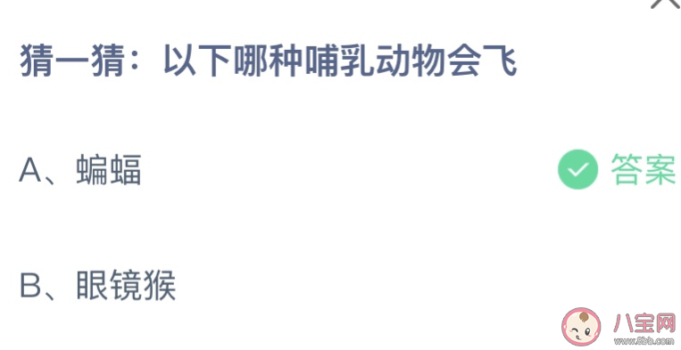 猜一猜以下哪种哺乳动物会飞 蚂蚁庄园12月27日答案