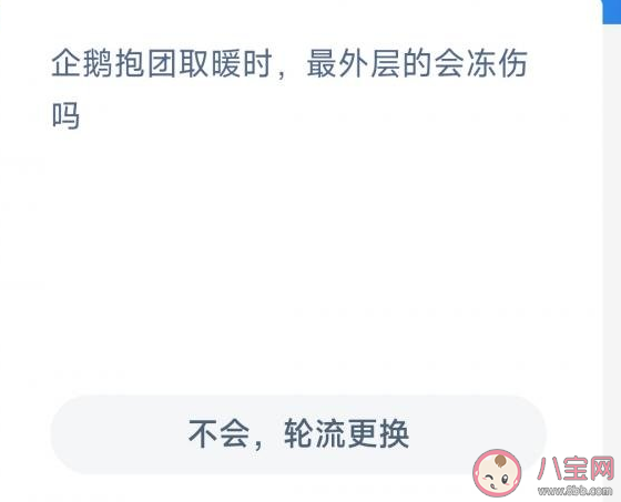 企鹅抱团取暖时最外层的会冻伤吗 蚂蚁森林神奇海洋12月26日答案