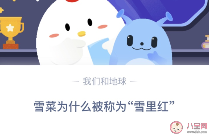 雪菜为什么被称为雪里红蚂蚁庄园 12月26日答案