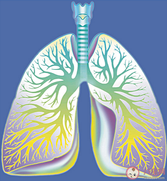 3个办法可提前预警白肺是什么 有肺炎就是白肺吗