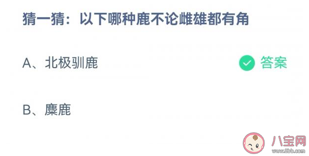 以下哪种鹿不论雌雄都有角 蚂蚁庄园12月31日答案介绍