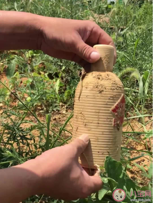 埋酒要满足什么条件 埋酒要注意什么