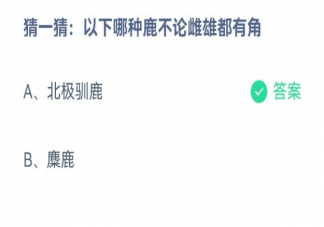 以下哪种鹿不论雌雄都有角 蚂蚁庄园12月31日答案介绍