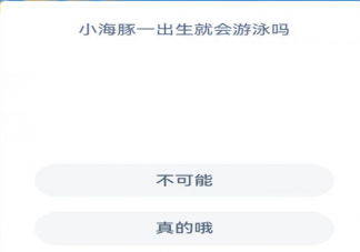 小海豚一出生就会游泳吗 蚂蚁森林神奇海洋1月2日答案