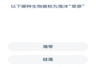 蚂蚁森林以下哪种生物被称为海洋草原 神奇海洋1月3日答案
