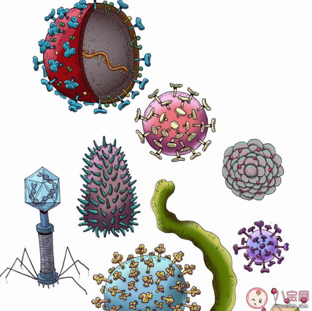 科学家首次发现专吃病毒生物是真的吗 这次发现有什么意义