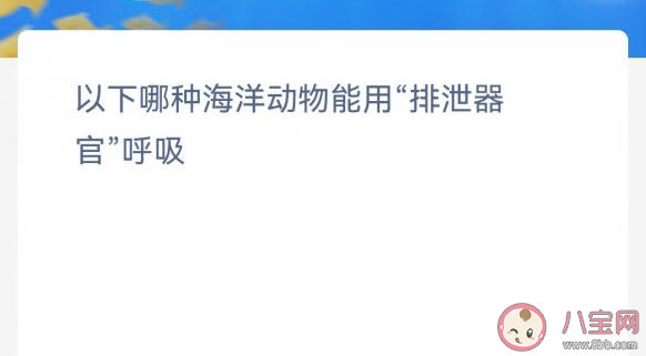 以下哪种海洋动物能用排泄器官呼吸 神奇海洋1月11日答案