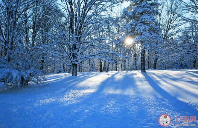 2023第一场雪朋友圈配图文案句子 2023第一场雪朋友圈图片配文