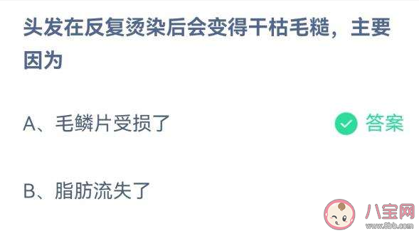 头发在反复烫染后会变得干枯毛糙主要因为什么 蚂蚁庄园2月3日答案