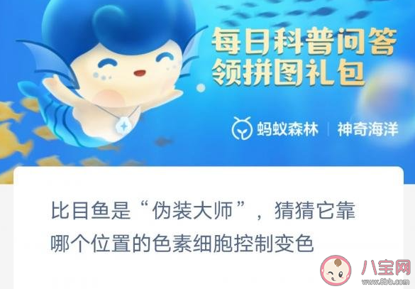 比目鱼靠哪个位置的色素细胞控制变色 神奇海洋2月7日答案