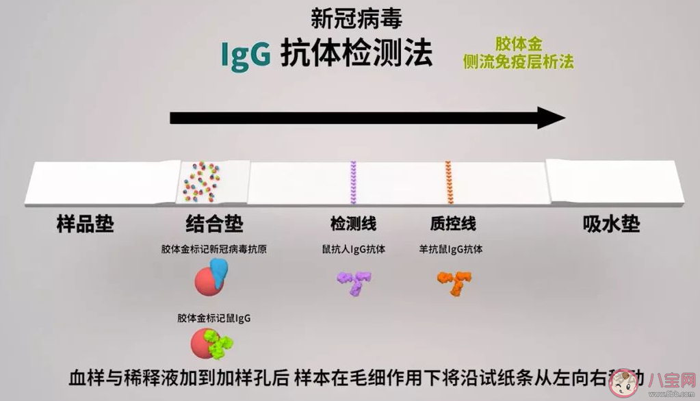 个人有必要做新冠抗体检测吗 什么是新冠抗体检测