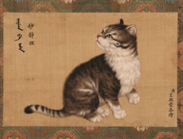 乾隆的猫都叫什么 乾隆的猫都有什么特点