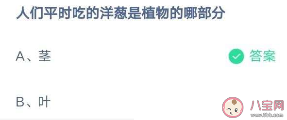 人们平时吃的洋葱是植物的哪部分 蚂蚁庄园2月11日答案