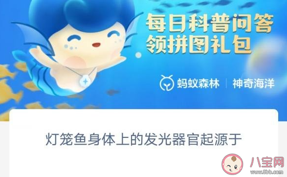 灯笼鱼身体上的发光器官起源于 神奇海洋2月10日答案