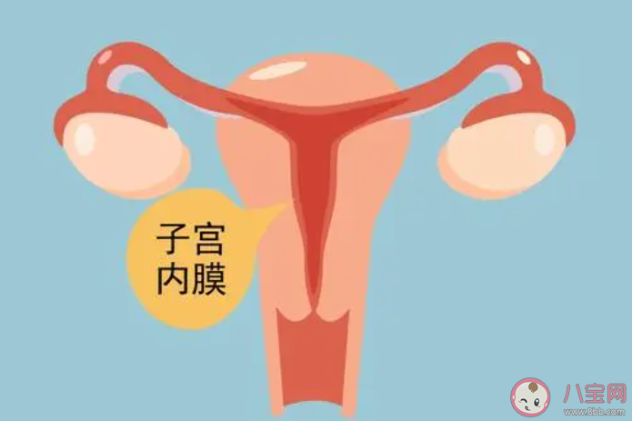 子宫内膜的厚度是一直不变的吗 子宫内膜有什么作用