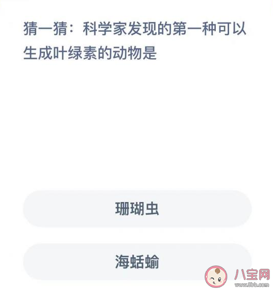 蚂蚁森林科学家发现的第一种可以生成叶绿素的动物是什么 神奇海洋2月22日答案