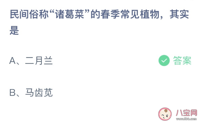 民间俗称诸葛菜的春季常见植物其实是 蚂蚁庄园2月24日答案