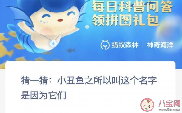 小丑鱼之所以叫这个名字是因为它们 神奇海洋2月24日答案