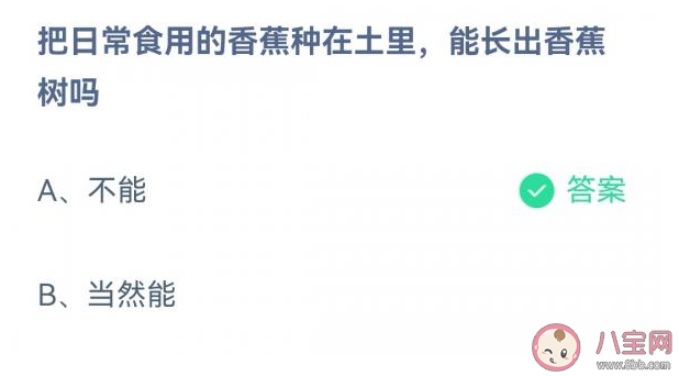 日常食用的香蕉种在土里能长出香蕉树吗 蚂蚁庄园3月2日答案