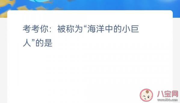 考考你被称为海洋中的小巨人的是 神奇海洋3月1日答案