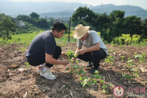 代表建议引导大学生成为高素质农民 大学生当农民会可惜吗