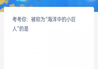 考考你被称为海洋中的小巨人的是 神奇海洋3月1日答案