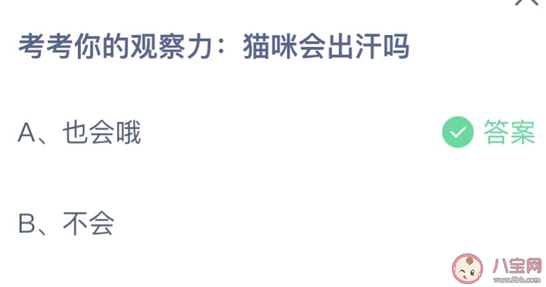 猫咪会出汗吗蚂蚁庄园 3月3日答案最新