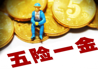 董明珠称不能以薪酬高低定五险一金 五险一金统一标准公平合理吗